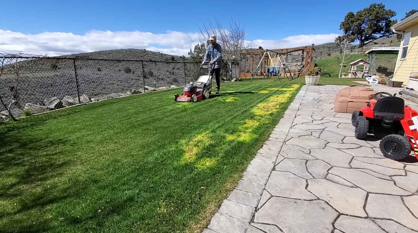 Professional lawn mowing and care service in Arcadia, CA